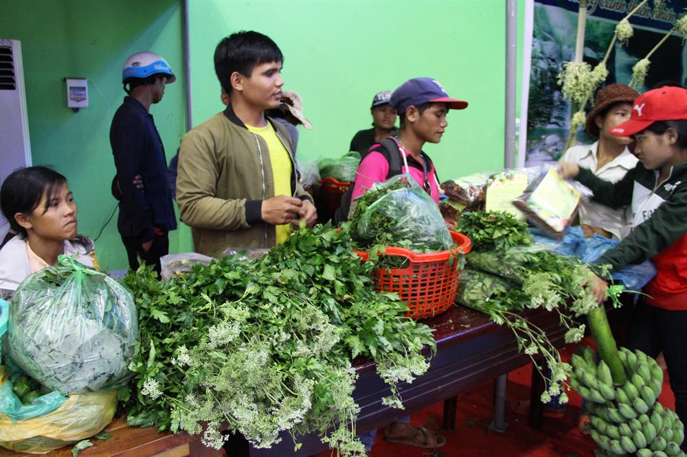 Sâm đương quy tươi, giảo cổ lam tự nhiên từ rừng núi Quảng Nam được bày bán tại chợ. Ảnh: LP