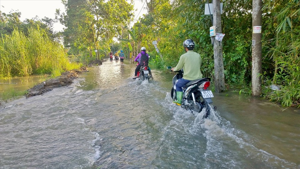 ... Cho đến các tuyến đường ở nông thôn (ảnh: P.V)