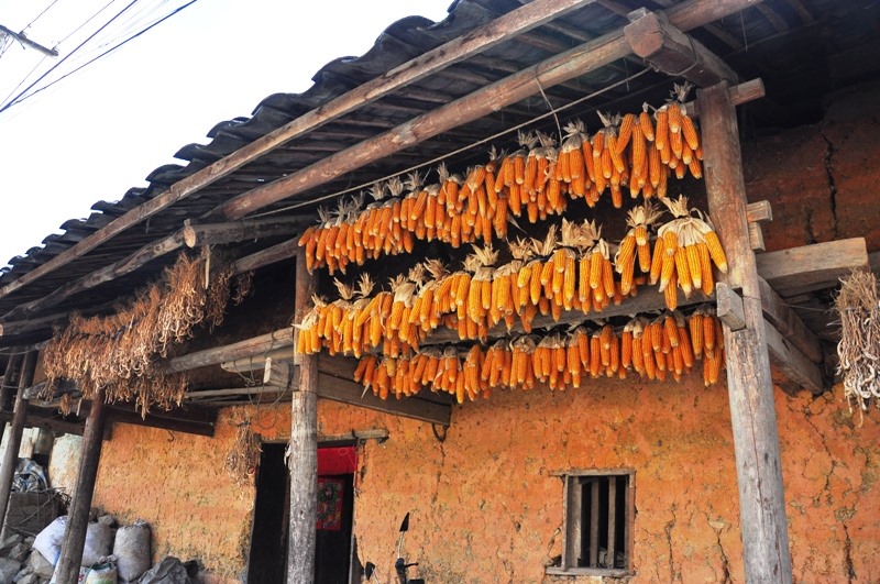 Những nếp nhà bình dị. Ảnh: Lam Linh.