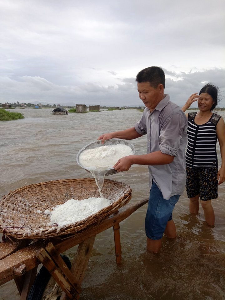 Nghề làm muối vốn thu nhập thấp, vất vả. Nay, diêm dân trắng tay chỉ qua một đêm. Ảnh: DK