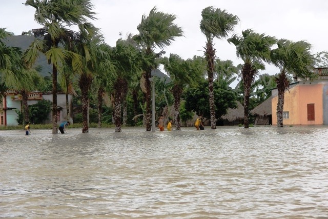 Đoạn đê hữu sông Hoàng qua địa bàn thôn 2, làng Tế Độ bị vỡ lớn, dài khoảng 5m, nước lũ từ sông Hoàng chảy mạnh vào đồng, vào làng làm ngập hơn 100 nhà dân (Ảnh: HT)