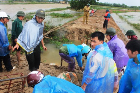 Đến 11h trưa cùng ngày, cán bộ, nhân dân, lực lượng chức năng xã Tế Nông và Công an huyện Nông Cống đã đổ hàng trăm mét khối đất, cát, cùng hàng trăm chiếc cọc tre xuống hiện trường đê hữu sông Hoàng bị vỡ.