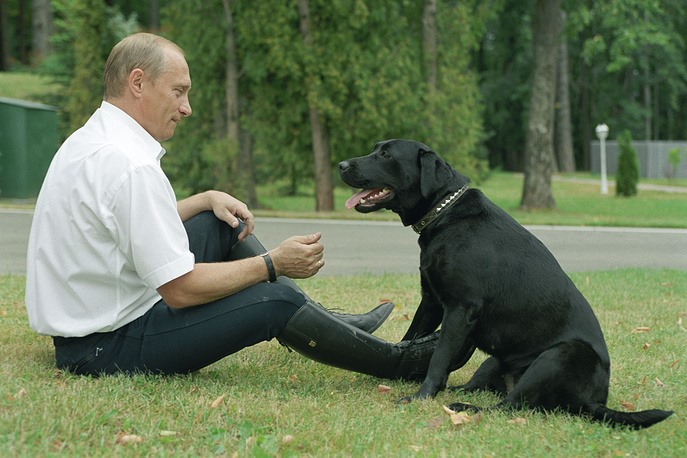 Tổng thống Nga Vladimir Putin chơi với chú chó săn mồi đen tuyền mang tên Koni “canh chừng”, tại Novo-Ogaryovo năm 2003. Koni được Bộ trưởng Quốc phòng, Đại tướng Sergey Shoygu tặng cho ông Putin năm 2000. Ảnh: Tass