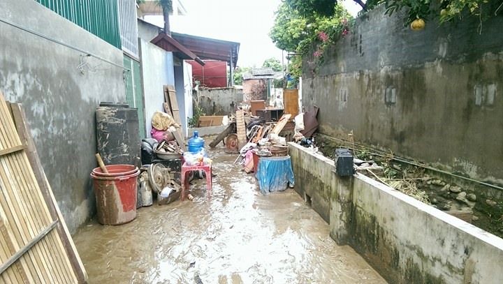 Cảnh hoang tàn trước nhà anh Tú và ông Trường.