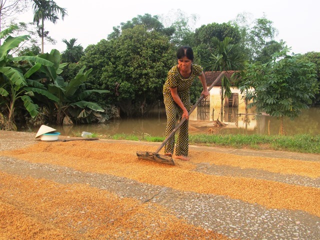 Mọi sinh hoạt của hàng nghìn người dân Thạch Thành vẫn đang trong cảnh “màn trời, chiếu đất“. (Ảnh: HT)