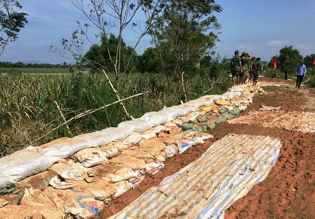 Huyện Thọ Xuân huy động 100 chiến sĩ thuộc Tiểu đoàn 40, Trung đoàn 762, Bộ chỉ huy Quân sự tỉnh Thanh Hóa gia cố đê tại xã Thọ Thắng. (Ảnh: HT)