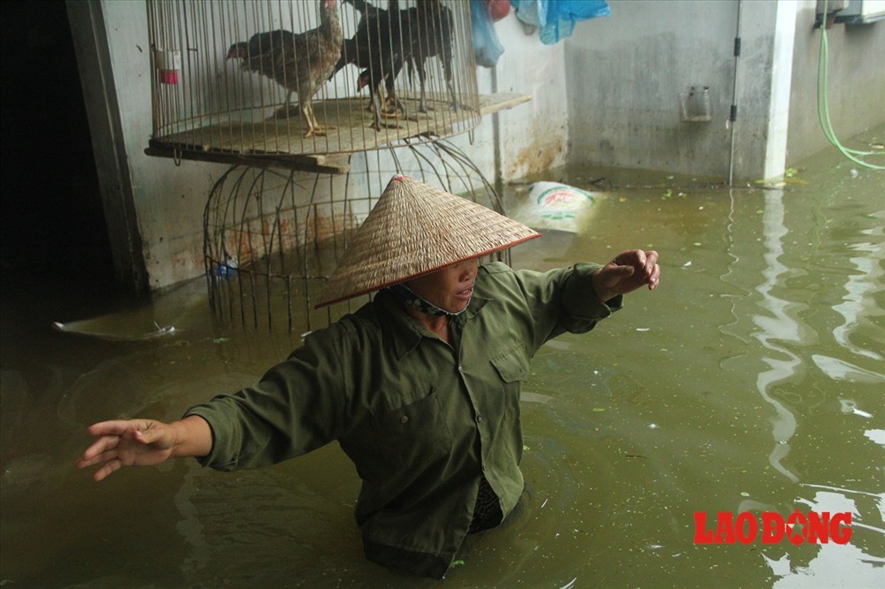 Ở trong nhà, nước ngập sâu nửa người. Dù trời lạnh nhưng người dân Chương Mỹ vẫn phải “đánh vật” với dòng nước lũ.