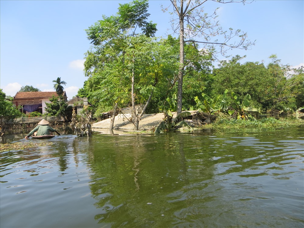 Một số người tranh thủ thả lưới để đánh bắt cá, rất nhiều loại cá khác nhau của ngư dân đã theo nước lũ ra khỏi các ao đầm nuôi,