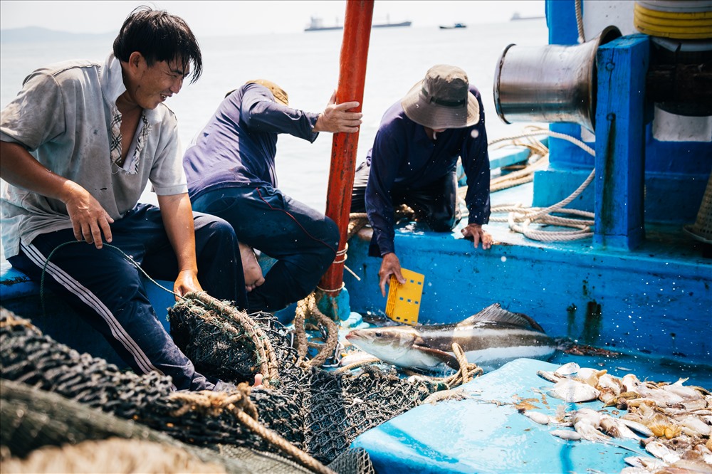 Lần kéo lưới thứ 2 cũng vào khoảng thời gian nắng nóng nhất trong ngày
