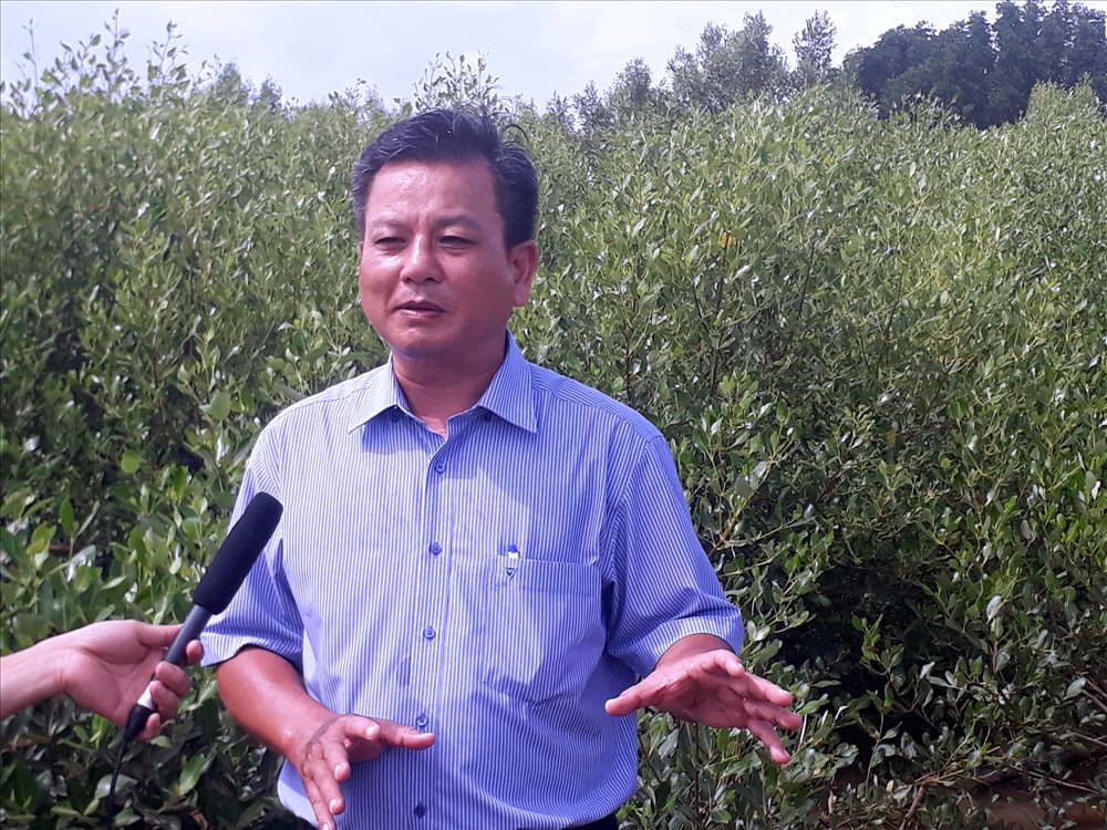 Đại diện BQL dự án đánh giá cao dự án kè mền chắn sóng tạo bãi (ảnh Nhật Hồ)