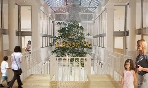 Trường mầm non Montessori tại New York cho phép dùng tiền bitcoin.