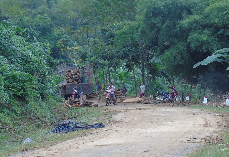 Sau lũ, gỗ bạt ngàn trôi từ trong rừng ra.