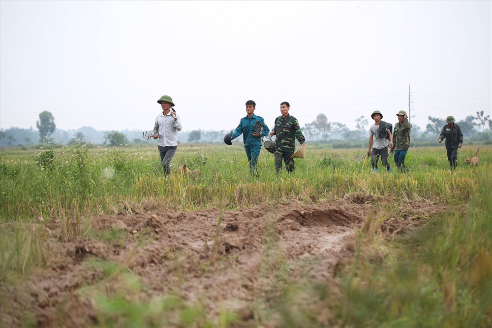 Tại hai xã Dị Nậu và Canh Nậu (Thạch Thất, Hà Nội) thịt chuột đồng là món ăn truyền thống có từ hàng chục năm nay. Bắt chuột để bán là nghề kiếm cơm, cũng là để tiếp khách quý, trong mâm cỗ sang của người dân xứ Đoài thường có thịt chuột đồng. Chuột bắt vào tháng 9 sau khi gặt lúa đến hết tháng giêng, chuột vụ chiêm được cho là có thịt ngon nhất và dễ bắt hơn. Bởi, sau khi gặt xong, thời tiết khô hanh, trơ gốc rạ, cây cối được thấp chuột không có nơi trú ẩn. Khi đó phải hiện hang rõ ràng và dễ đuổi bắt.