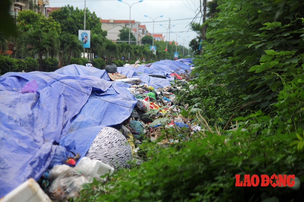 Nhiều gia đình phải đóng cửa cả ngày để mùi rác không xộc vào nhà.