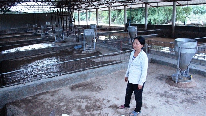 Bà Hường nghẹn ngào nhìn toàn bộ đàn heo trôi trong bất lực.