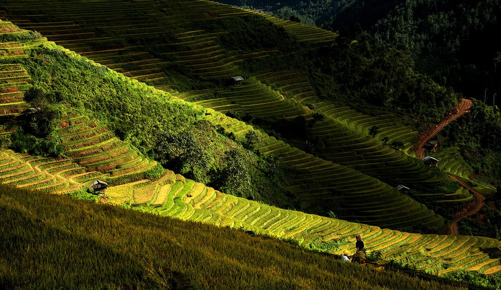 Nắng Tây Bắc - Huỳnh Lãnh.