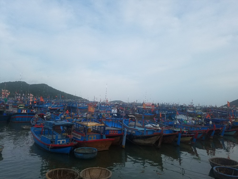 Người và phương tiện trên biển phải sơ tán, neo đậu an toàn trước 16 giờ chiều nay.