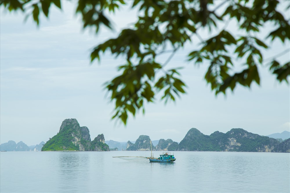 Vịnh Bái Tử Long, Vân Đồn. Ảnh: PV