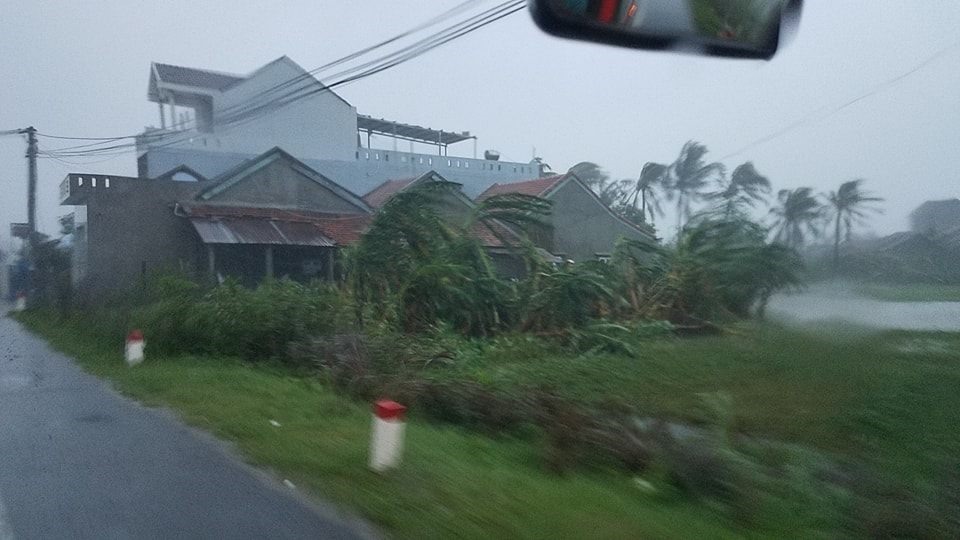 Gió lớn kèm mưa nặng hạt khiến cây cối ngã đổ. Ảnh: H.L
