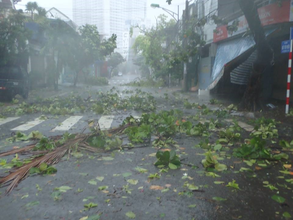 Chùm ảnh bão số 12 đổ bộ Nha Trang, Khánh Hòa: