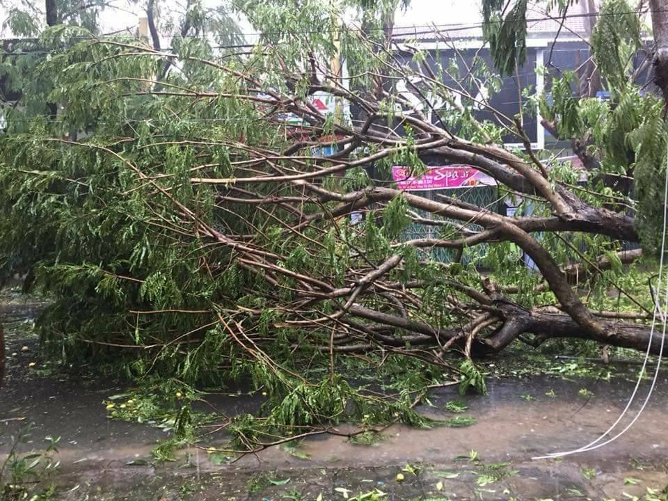 Nha Trang tan hoang sau cơn cuồng phong