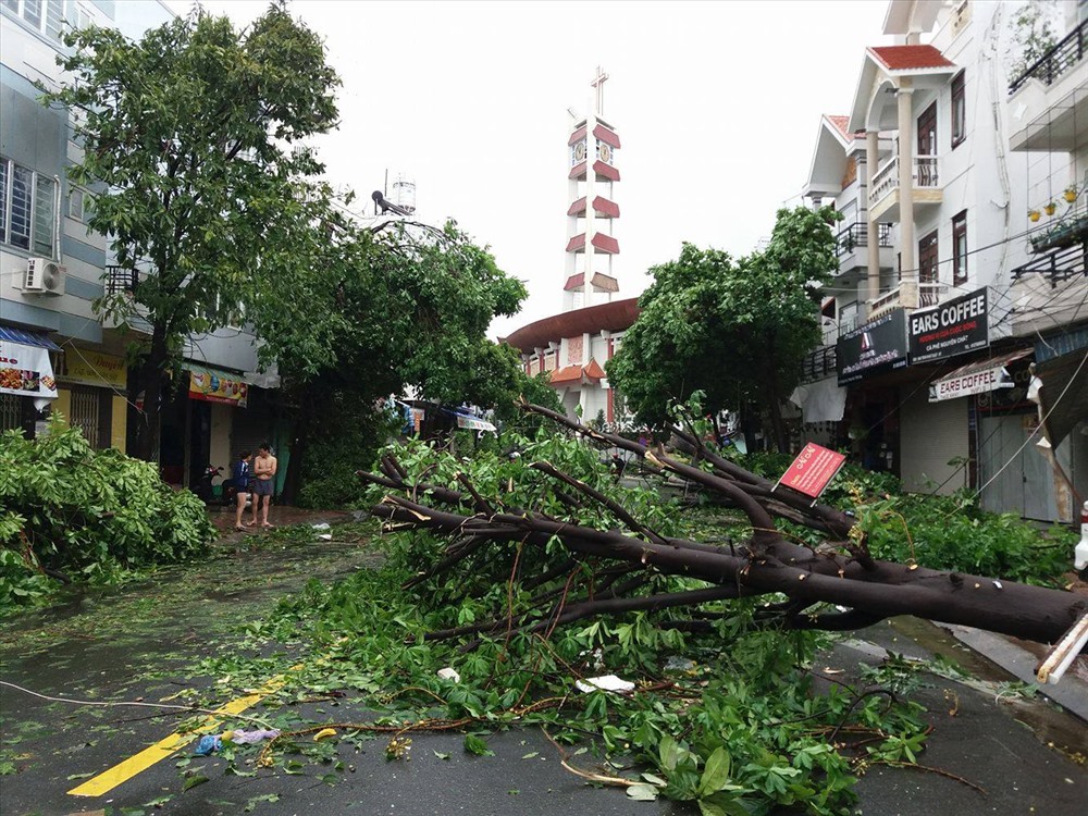 Sau một ngày khắc phục, ở Khánh Hòa nhiều nơi cây cối vẫn còn ngỗn ngang nên vẫn tiếp tục cho học sinh một số nơi nghỉ học