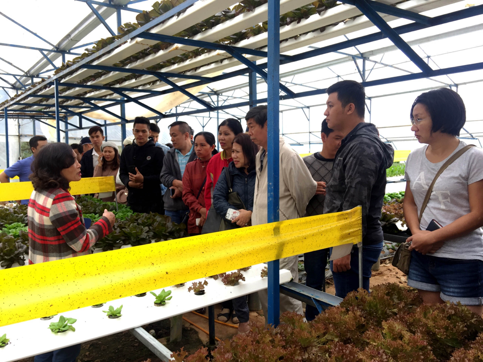 Các doanh nghiệp tham quan trạm trung chuyển rau củ quả Đà Lạt