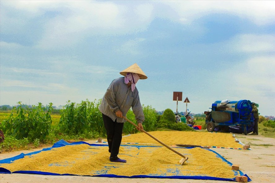 Kinh Môn trở thành huyện đầu tiên đạt chuẩn chương trình Nông thôn mới tại Hải Dương. Ảnh minh họa: Trần Vương