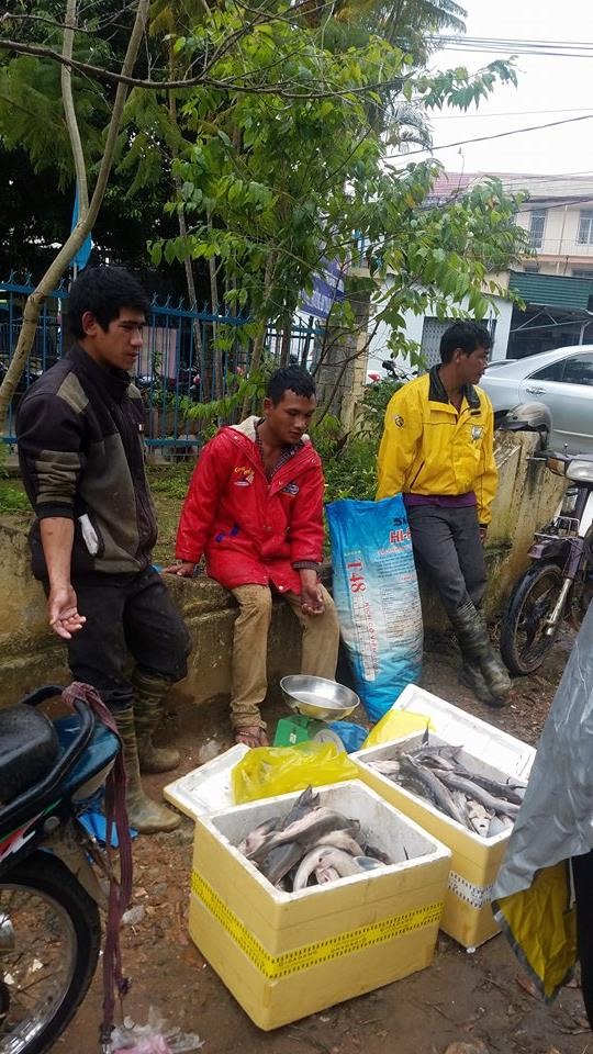 Cá tầm chết hàng loạt đem ra phố bán giá rẻ… người mua vẫn chê