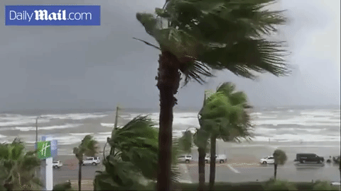 Hình ảnh khi siêu bão Harvey đổ bộ. Ảnh: PV