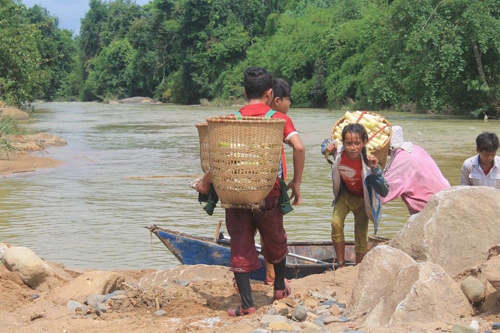 Gánh măng rừng nặng trĩu