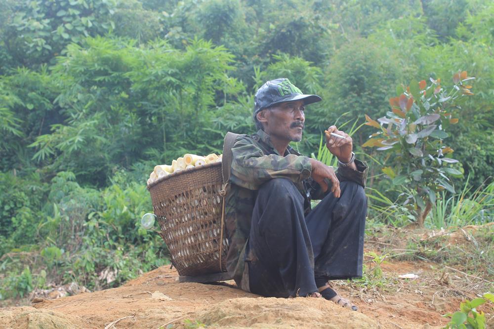 Gánh măng rừng nặng trĩu