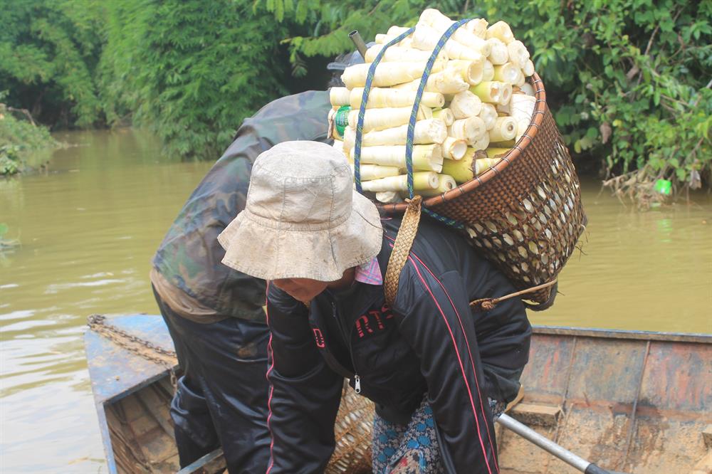 Gánh măng rừng nặng trĩu