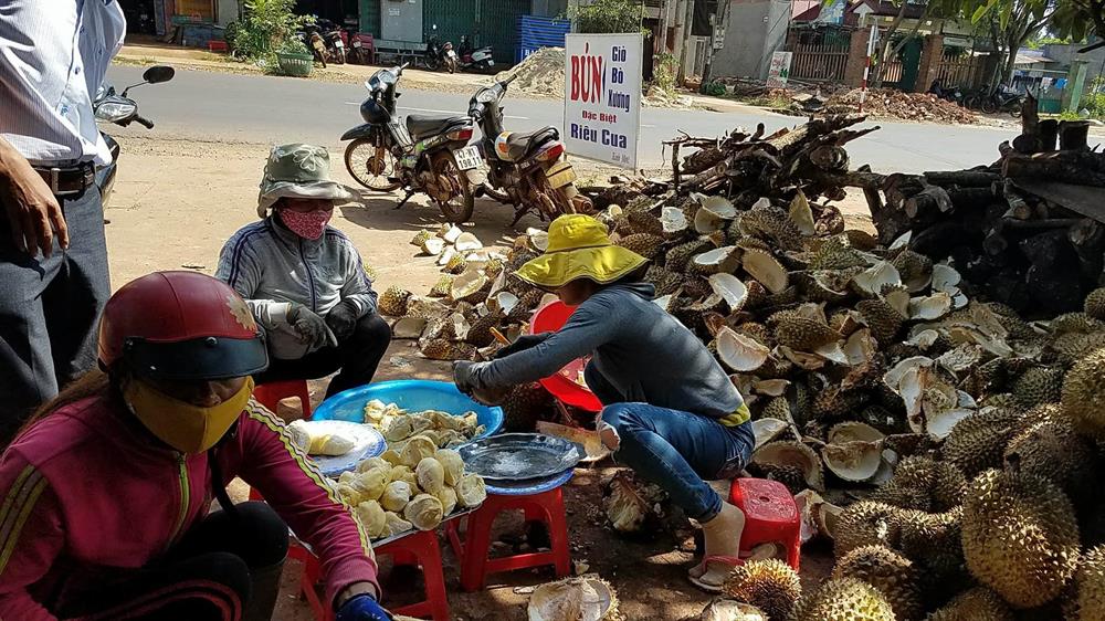 Việc thu mua cả trái non khiến người tiêu dung lo lắng về chất lượng sầu riêng. Ảnh: P.V