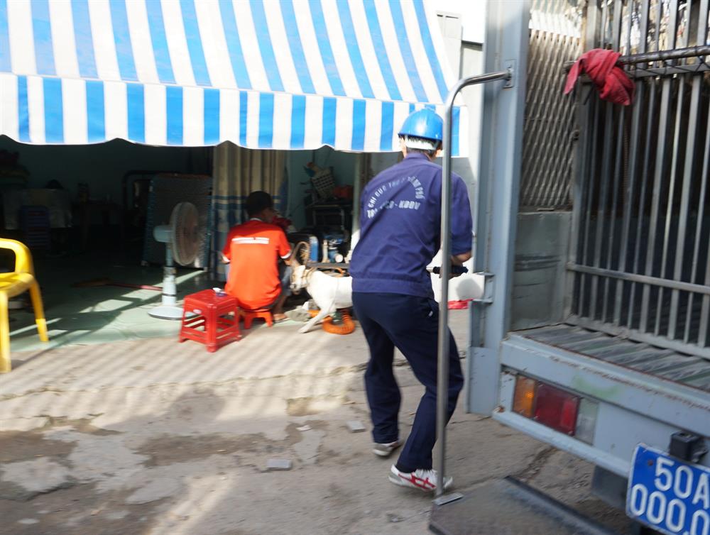 Lúc 7h30, đội tuần tra đi dọc đường số 3 (KP2, P.Linh Xuân) thì phát hiện một con chó mày trắng, vằn vàng chạy chạy trên đường và không đeo rọ mõm. Một thành viên đội bắt chó nhanh như chớp, vung gậy chặn bắt. Tuy nhiên chú chó đã nhanh chóng chạy lại bên người đang ông ngoài 60 (chủ chó) đang ngồi trước cửa nhà. Thấy vậy người đàn ông này liền ôm chặt con chó và chửi: “Chó người ta mà dám bắt hả mày. Muốn ăn cây hả”.