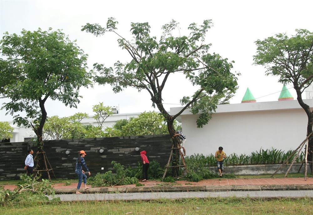 Loa đài ở các khu phố, các thôn yêu cầu người dân chuẩn bị ứng phó bão. Các cây xanh dọc các tuyến đường, ở gần nhà cũng được cắt tỉa. Ảnh: Hưng Thơ.