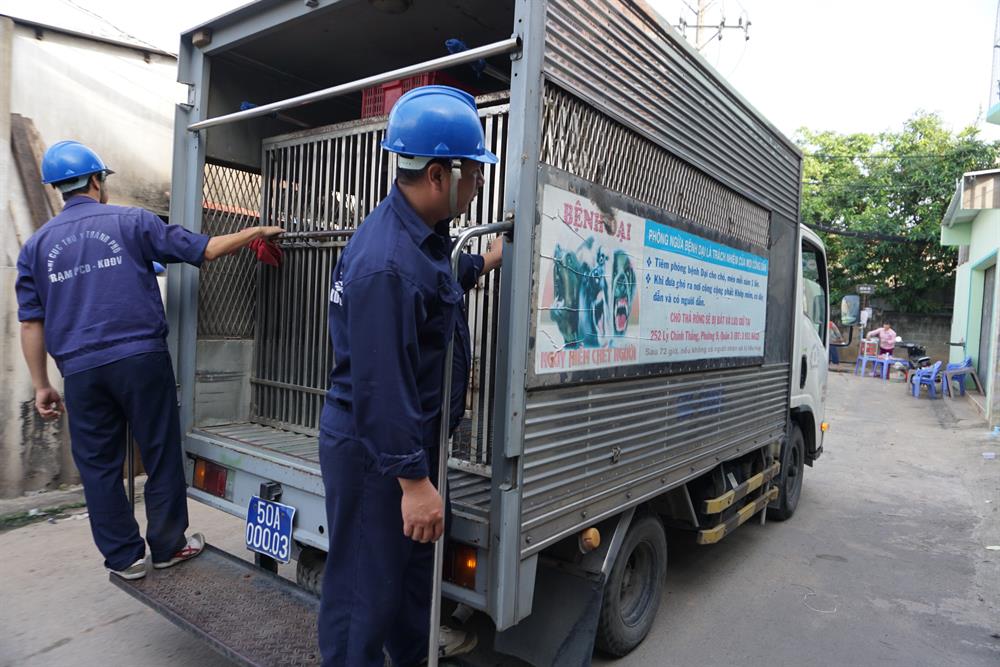 Các nhân viên đội bắt chó thả rông khi làm nhiệm vụ mặc áo màu xanh ở sau áo có in chữ “Chi cục Thú y Thành phố“, xe chuyện dụng có biển số xanh.