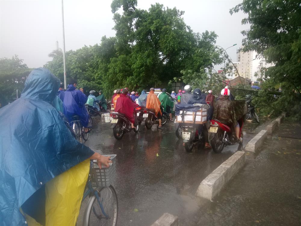 Vụ việc khiến giao thông qua cầu bị ách tắc nghiêm trọng. Ảnh: NĐT