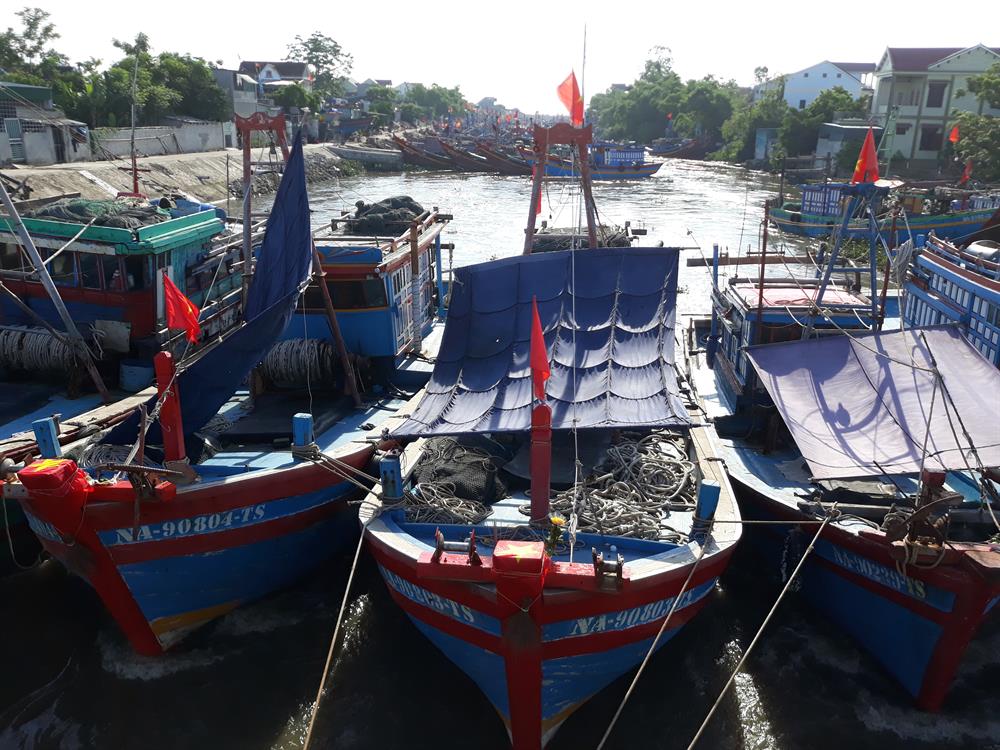 Vẫn còn hơn 800 tàu thuyền ở Nghệ An đang trên đường vào bờ trốn bão (ảnh D.N)