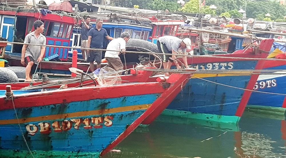 Ngư dân Đồng Hới chằng chéo tàu thuyền chủ động ứng phó với siêu bão số 10. Ảnh: Lê Phi Long