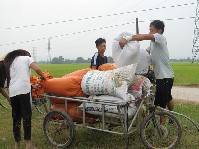 Bà con huy động tối mọi nhân lực và vật lực để chạy bão (Ảnh: HT)