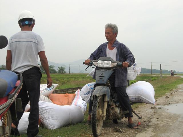 Bà con huy động tối mọi nhân lực và vật lực để chạy bão (Ảnh: HT)