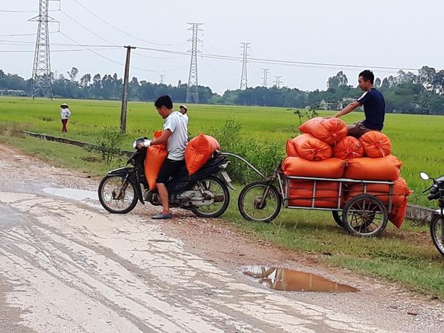 Bà con huy động tối mọi nhân lực và vật lực để chạy bão (Ảnh: HT)