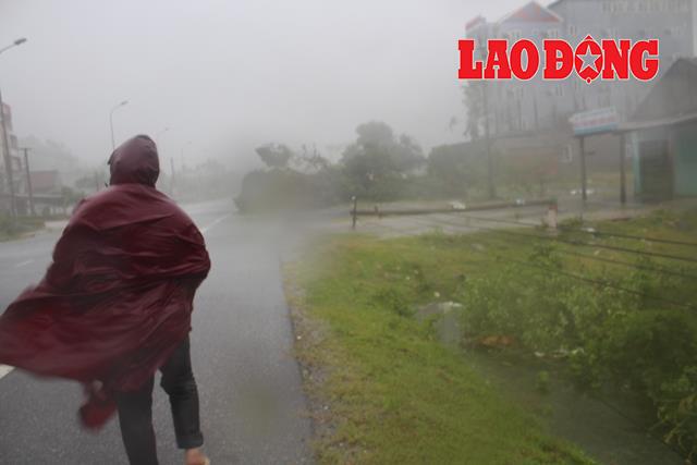 Cột điện và cây lớn đổ gãy. Ảnh chụp tại xã Kỳ Trinh, thị Xã Kỳ Anh, Hà Tĩnh.
