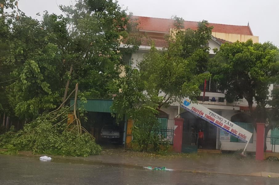 Bảng hiệu các cơ quan bị đánh sập. Ảnh: Lê Phi Long