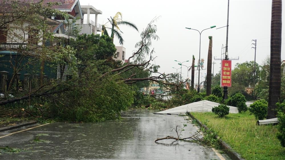 Cây lớn đổ ngan ngát, chặn đường tại thị xã Kỳ Anh. Ảnh: Quang Đại