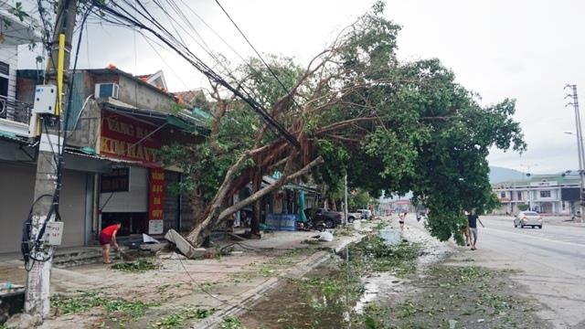 Cần nhiều thời gian để sản xuất trở lại bình thường. Ảnh: QĐ