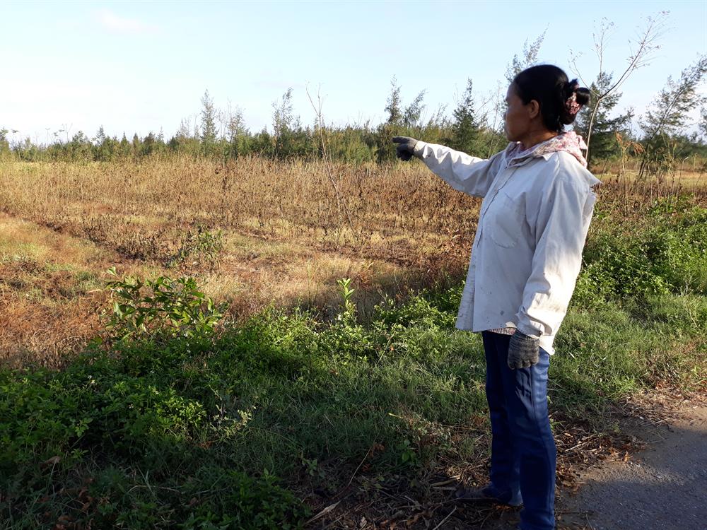 Người dân xót xa khi mất cả dâu lẫn tằm (ảnh H.Q)