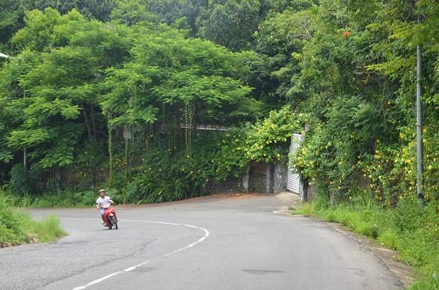Lô biệt thự mang bí số L09 nay bị bỏ hoang phế