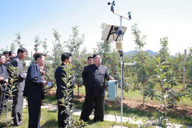 Trong bài đáp trả phát biểu của ông Donald Trump do KCNA đăng tải, ông Kim Jong-un “khuyên ông Donald Trump phải cẩn trọng khi lựa chọn từ ngữ, và để ý đến người mà ông ta nói đến trong bài phát biểu trước cả thế giới“. Ảnh: Reuters